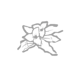 survivor-perk-icon